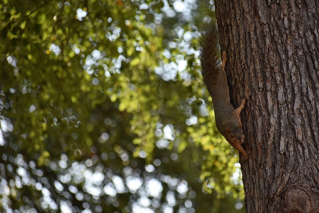 的关键因素 的关键因素