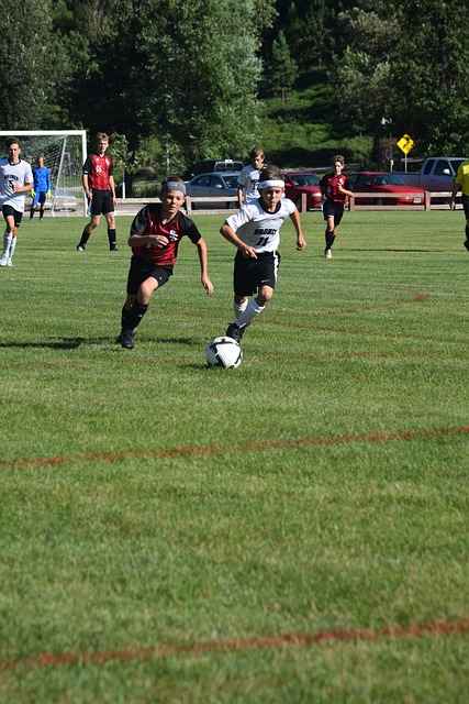 争议和讨论 争议和讨论