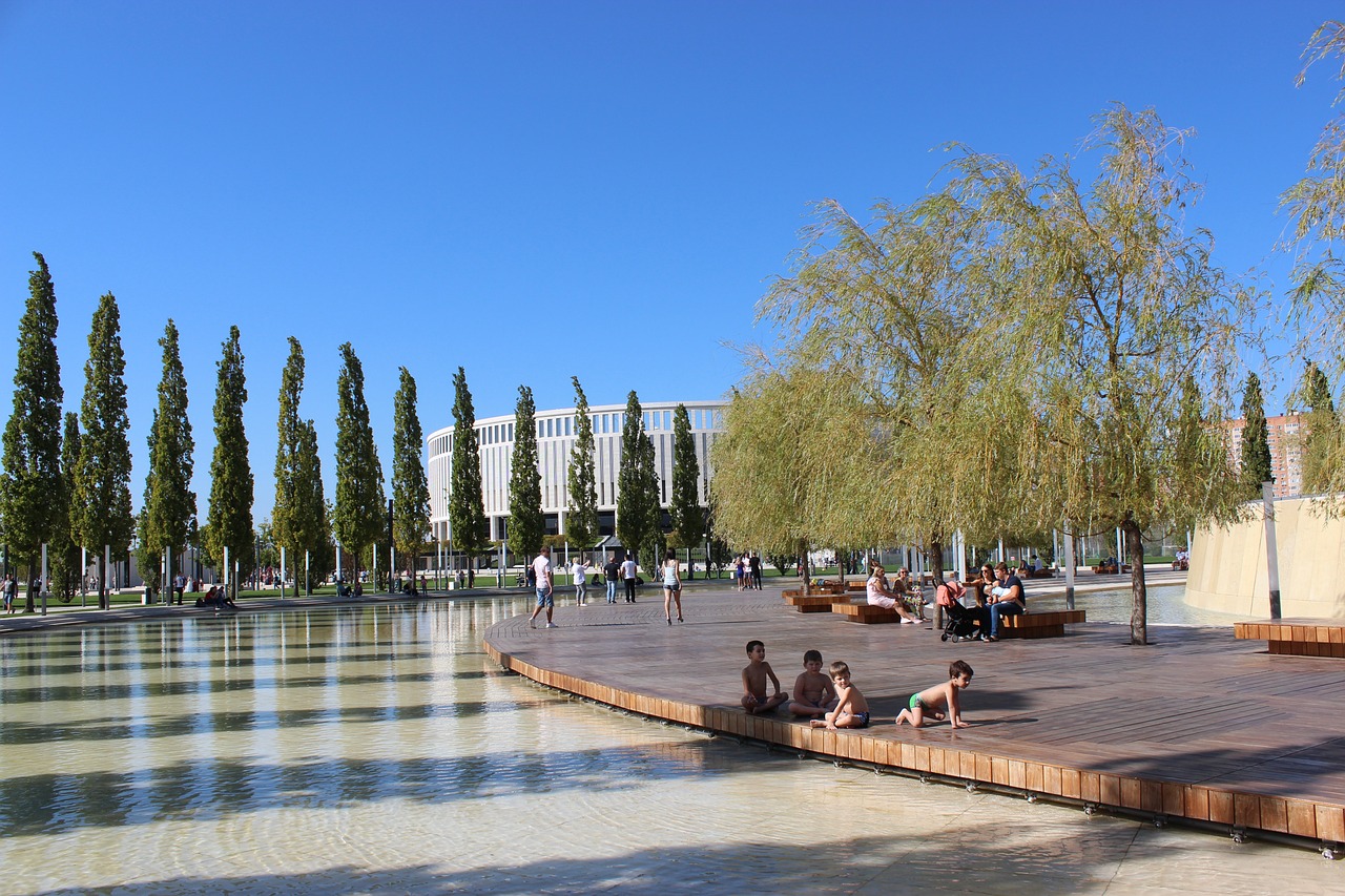 在未来的几 在未来的几