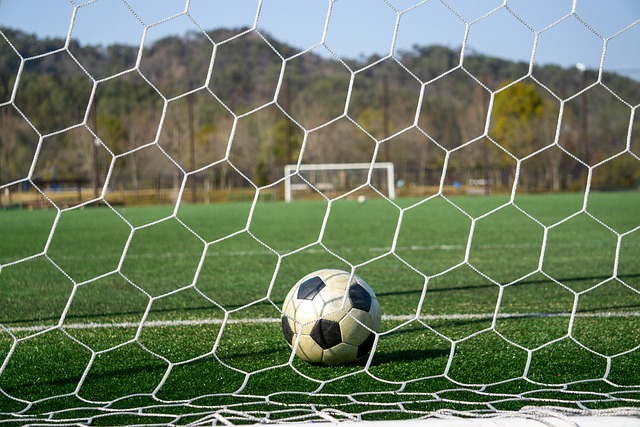 与到体育游 与到体育游